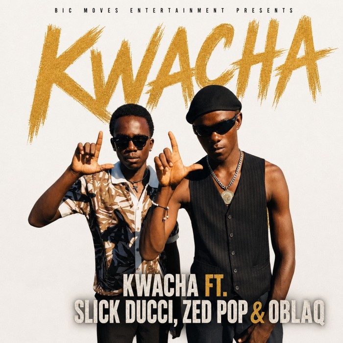 Song Cover